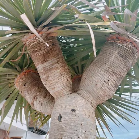 Appartement La Morreta I - Lanzarote