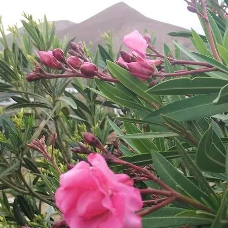 Appartamento La Morreta I - Lanzarote